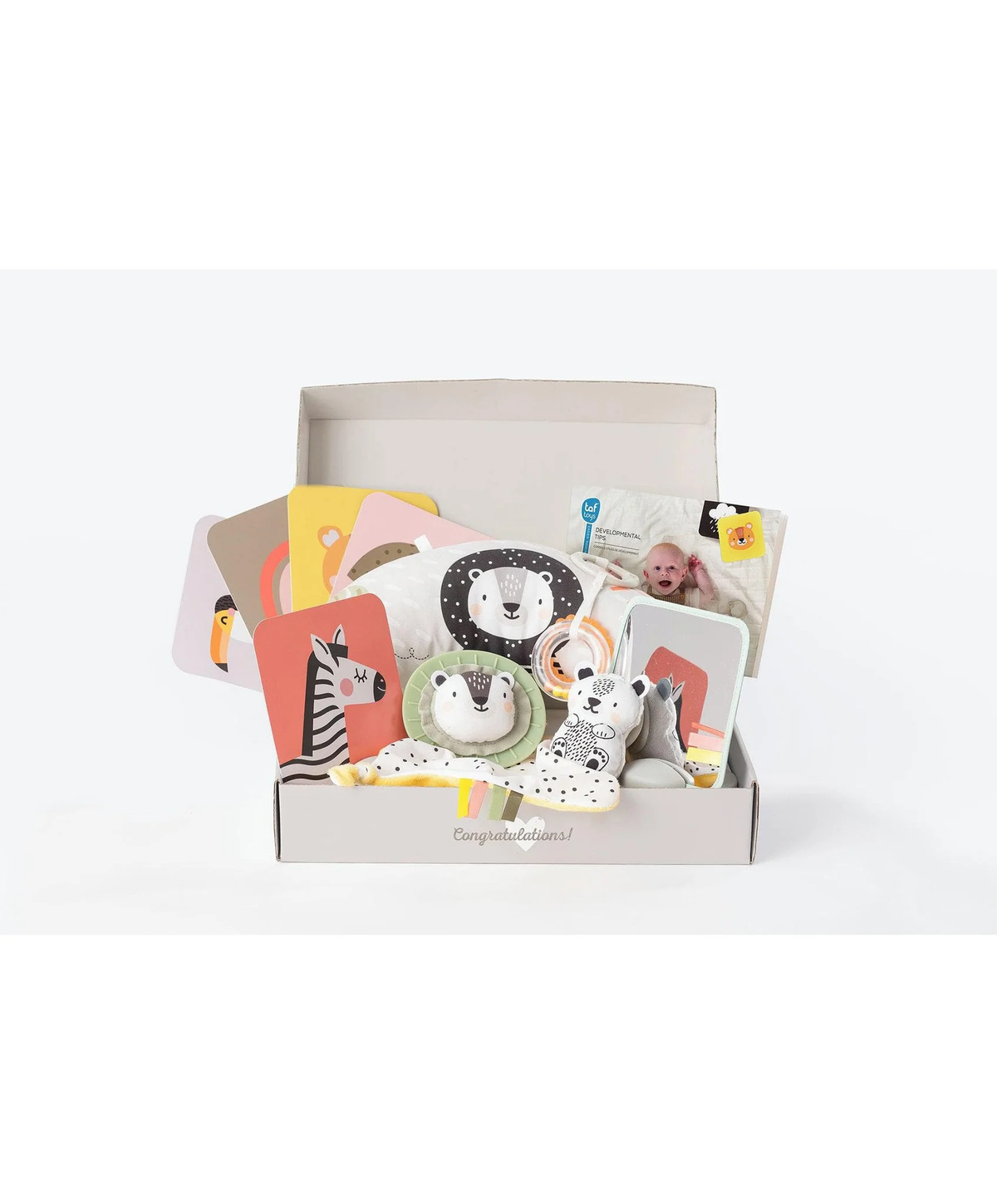 Newborn Play and Learning Kit