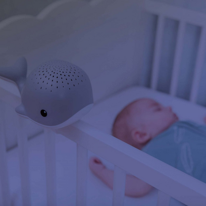 Proyector de Luz con Melodías Relajantes - Wally La Ballena | Zazu