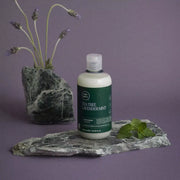 PAUL MITCHELL Tea Tree Lavender Mint Moisturizing Shampoo 300ml