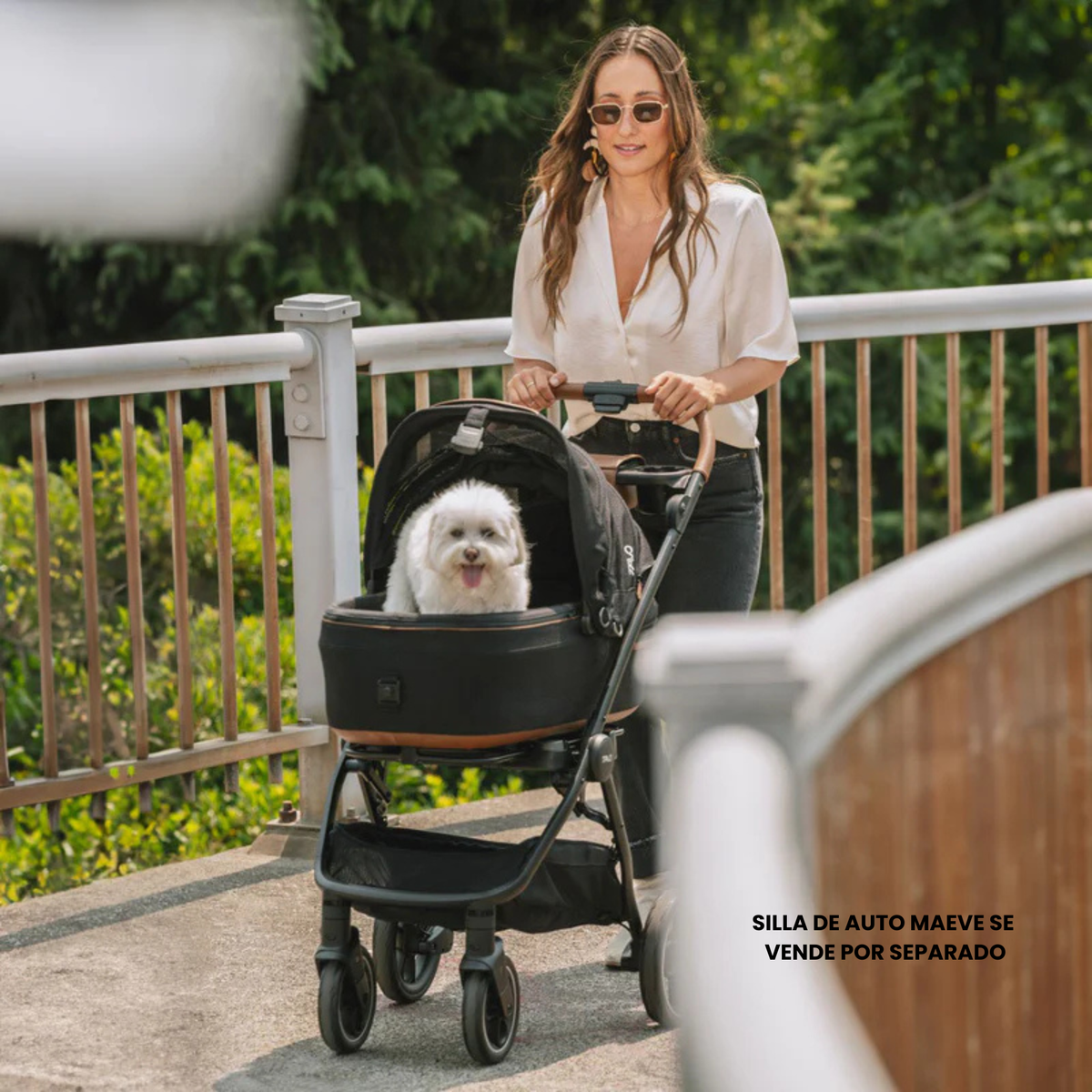 Chasis de Coche para Mascotas Roscoe™ | Tavo Pets