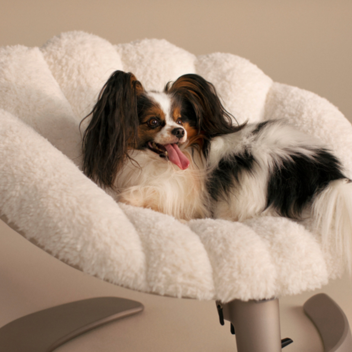 Silla Mecedora para Mascotas Shell - Latte | Tavo Pets
