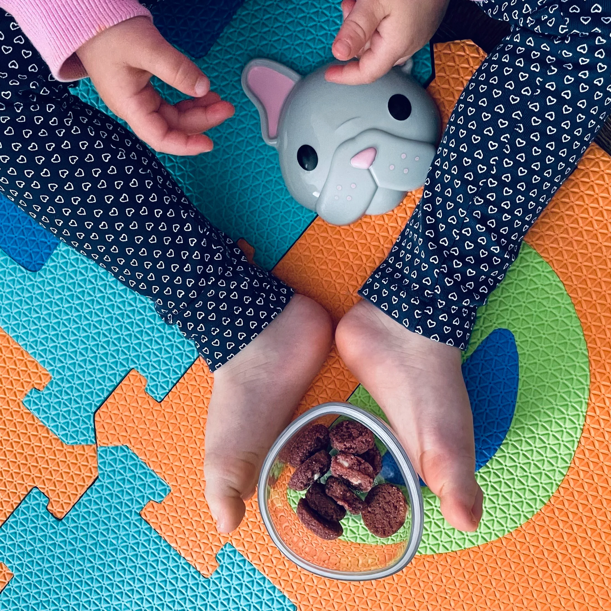 Contenedor de Snack - BullDog y Gato | Melii