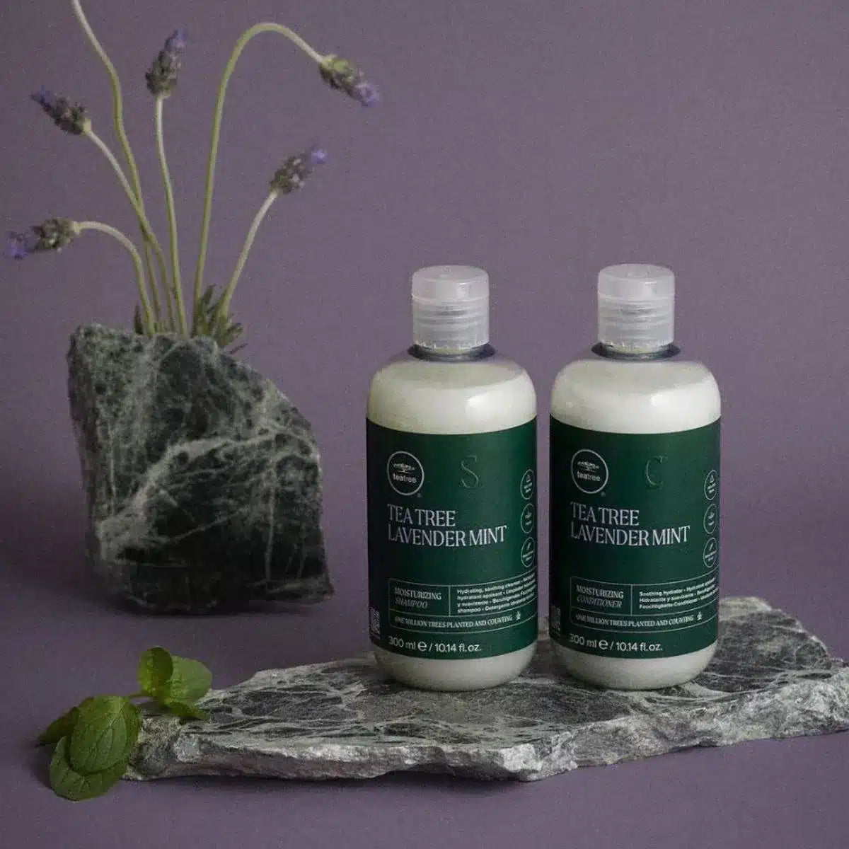 PAUL MITCHELL Tea Tree Lavender Mint Moisturizing Shampoo 300ml