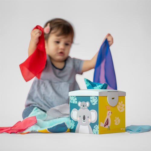 Caja de Pañuelos Kimmy la Koala (7550911054074)