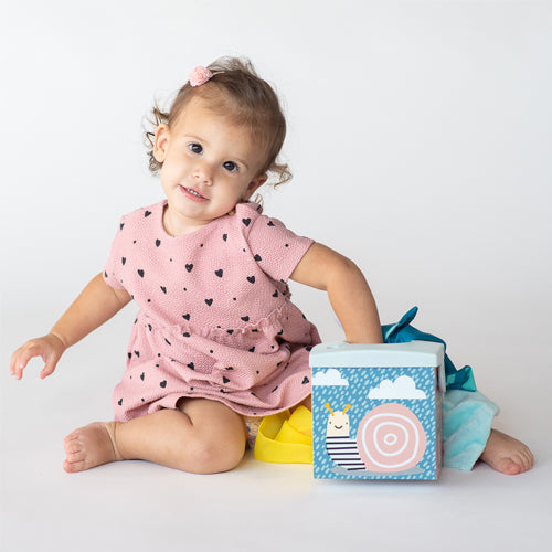 Caja de Pañuelos Kimmy la Koala (7550911054074)