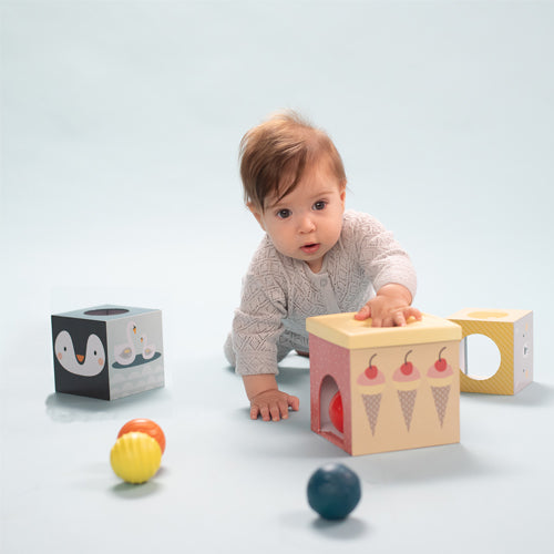 Cubo de Encajes y Formas Polo Norte (7550959649018)