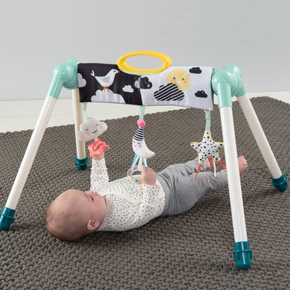Gimnasio de Actividades Mini Moon Take to Play | Taf Toys